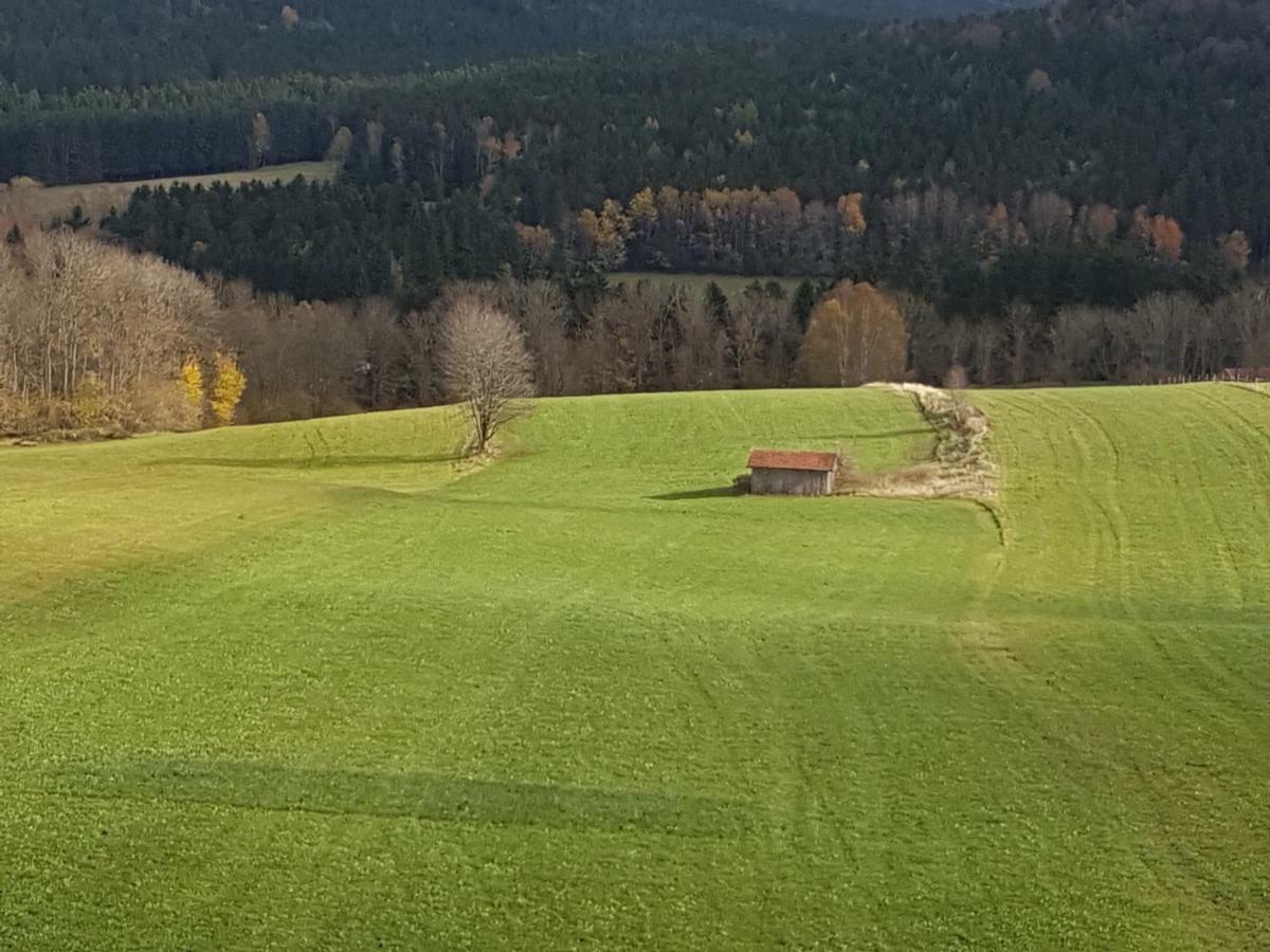 Apartamento Gut Steinhügel Bischofsmais Exterior foto